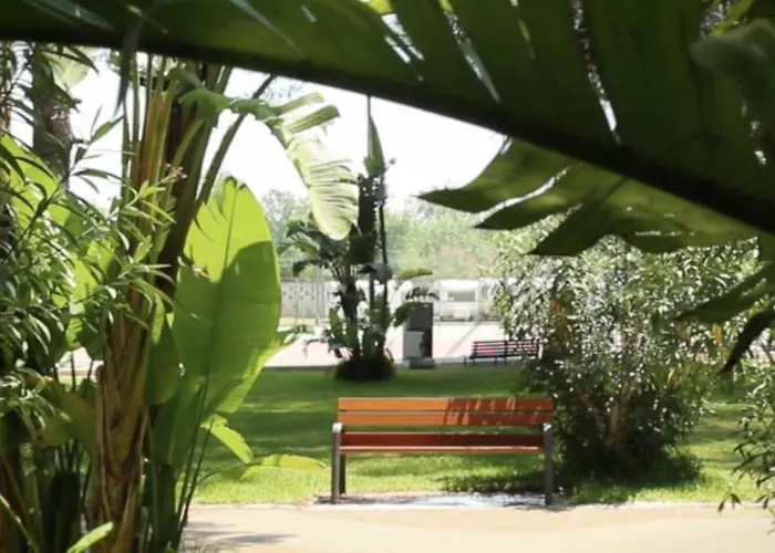 Campsite Happy Camp Mobile Homes In La Vecchia Torre Gallipoli