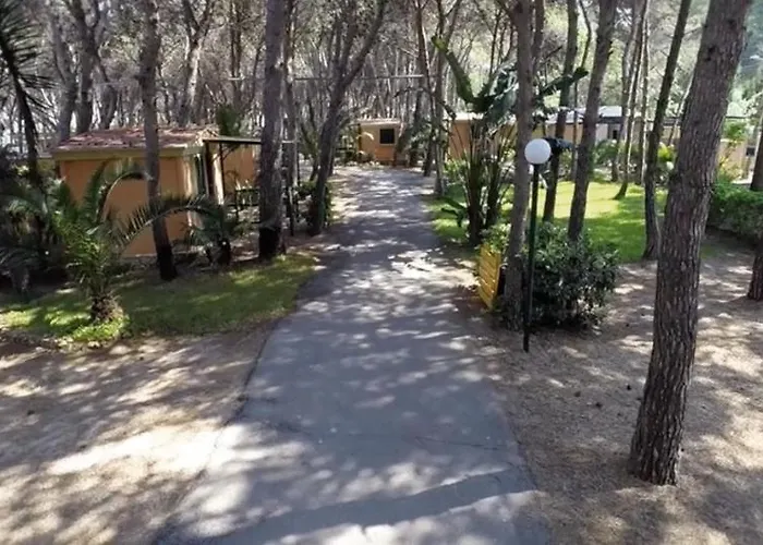 Happy Camp Mobile Homes In La Vecchia Torre